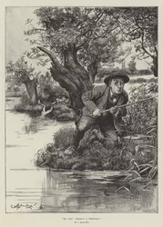 Meine Perücke! Da ist ein Riesenexemplar!